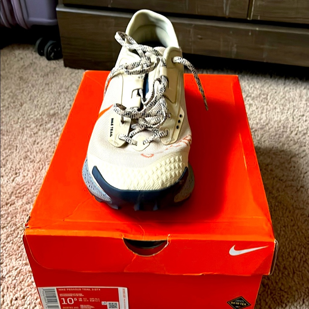 Nike Men Cream and Blue Shoe